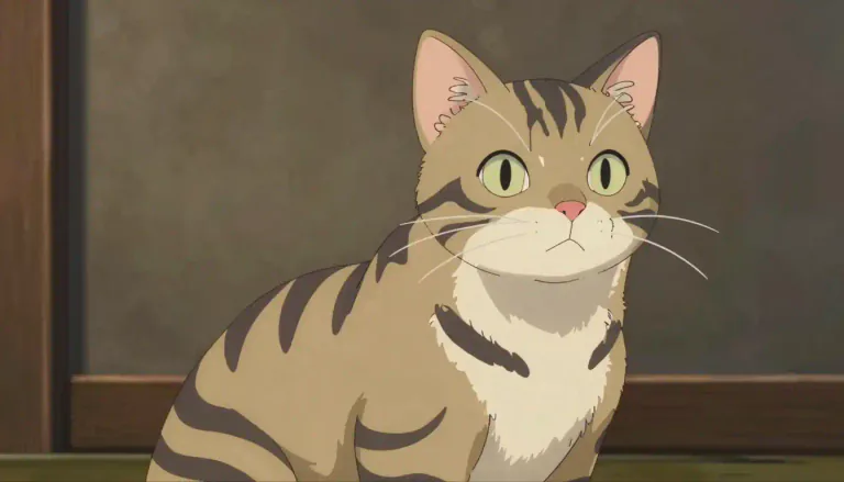 Visual representation of "tabby" - A cat with a coat featuring distinctive stripes and swirls.