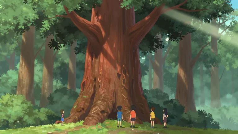 Visual representation of "sequoia" - A type of very large tree that grows mainly in California, USA.