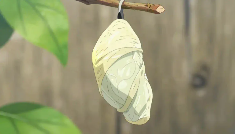 Visual representation of "cocoon" - A protective covering that some insects build around themselves before they become adults.