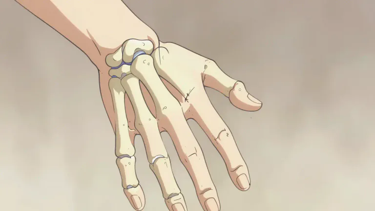 Visual representation of "metacarpal" - Any of the five bones of the hand between the wrist and the fingers.