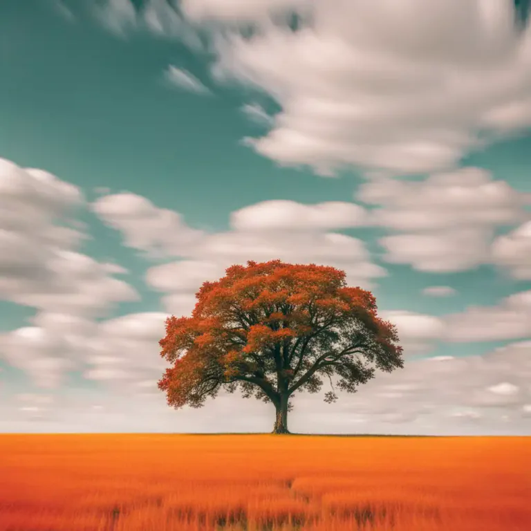 Visual representation of "solitary" - Single; not having or including others