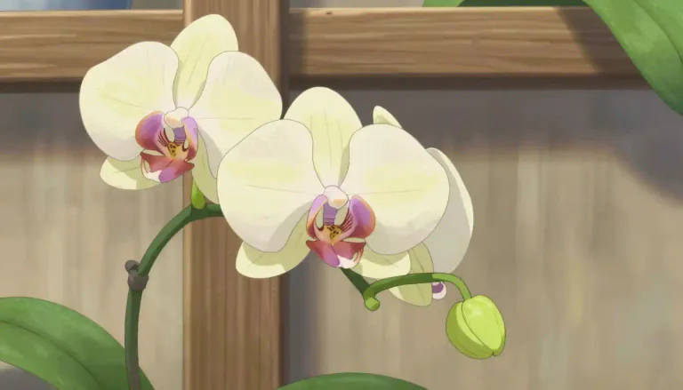 Visual representation of "vanilla" - A type of plant with sweet seeds. It is used to give a special taste to things like ice cream or cake.