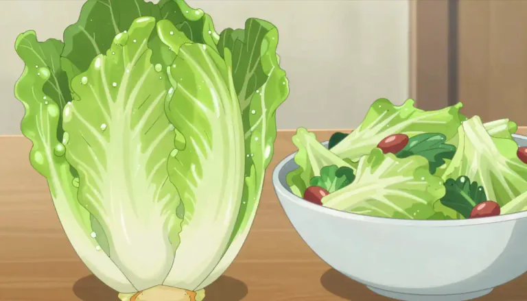 Visual representation of "endive" - A green plant used in salads or cooked like spinach.