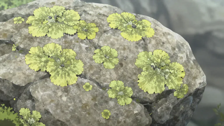 Visual representation of "lichen" - A simple slow-growing plant that usually forms a low crust, found on rocks, walls, and trees.