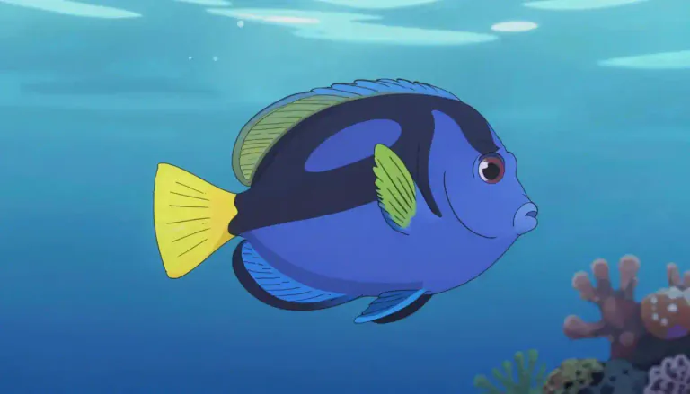 Visual representation of "surgeonfish" - A type of marine fish belonging to the family Acanthuridae, known for their bright colors and sharp spines on their bodies.
