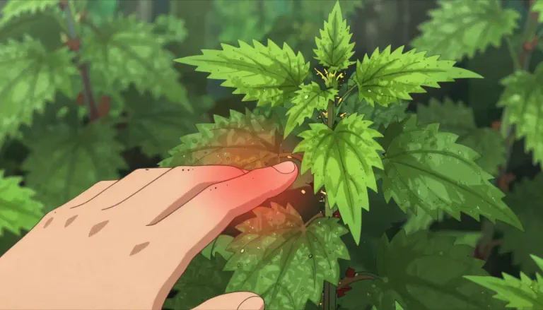 Visual representation of "nettle" - A type of plant with leaves that can sting your skin and cause it to feel numb or irritated.