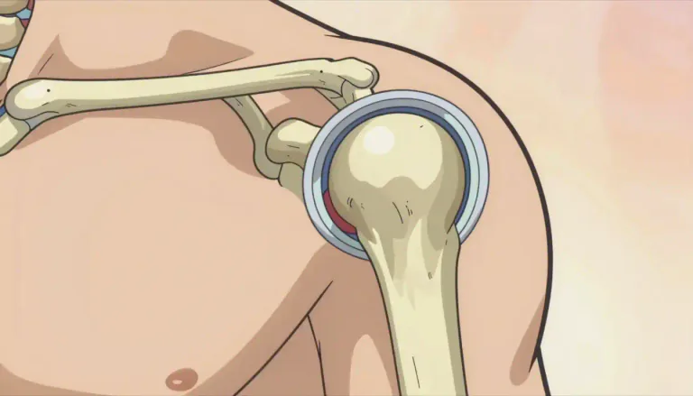 Visual representation of "labrum" - A labrum is a cartilage structure or a lip that surrounds the socket of a joint, particularly in the shoulder and hip, helping to stabilize the joint.