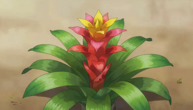 Visual representation of "bromeliad" - A bromeliad is a type of tropical plant belonging to the family Bromeliaceae, typically characterized by a rosette of leaves and colorful flowers.