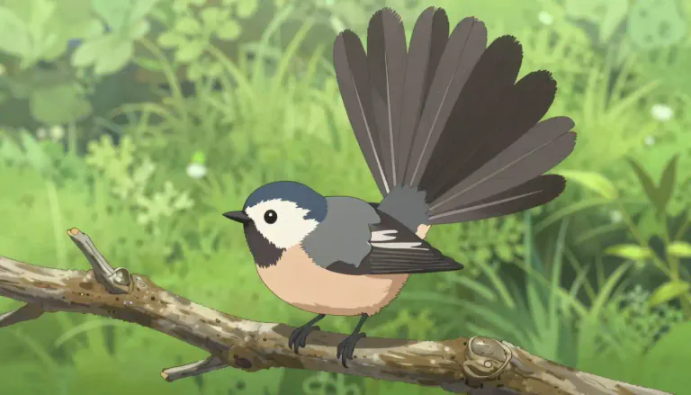 Visual representation of "fantail" - A type of bird or fish that has a tail resembling a fan, especially known for its spread-out appearance.