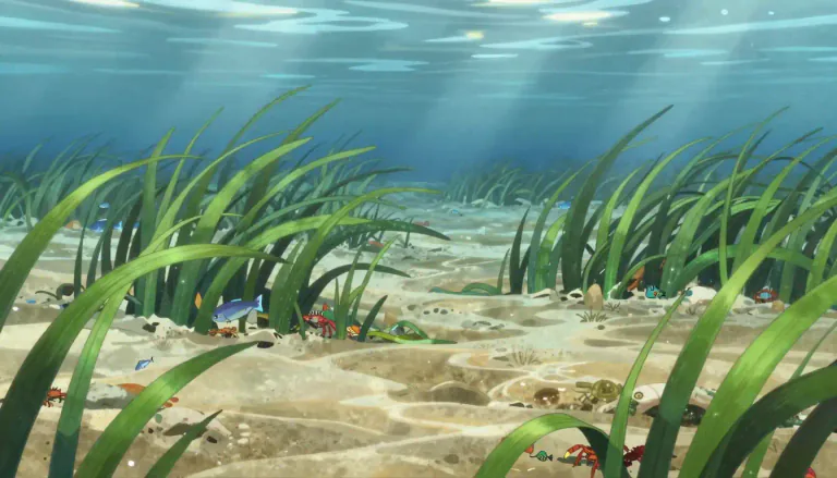 Visual representation of "eelgrass" - Eelgrass is a type of seagrass that grows in shallow coastal waters, providing habitat for marine life.