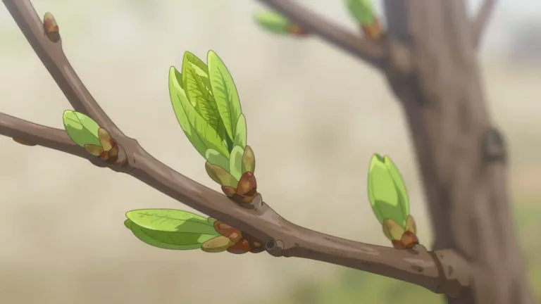 Visual representation of "bud" - A small part of a plant, which grows into a flower or leaf