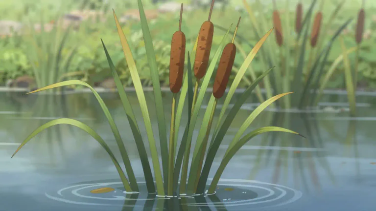 Visual representation of "cattail" - A tall, wetland plant with a long, narrow leaf and a thick, brown flowering spike.