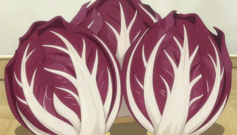 Visual representation of "radicchio" - A variety of chicory with red or purple leaves that is often used in salads.