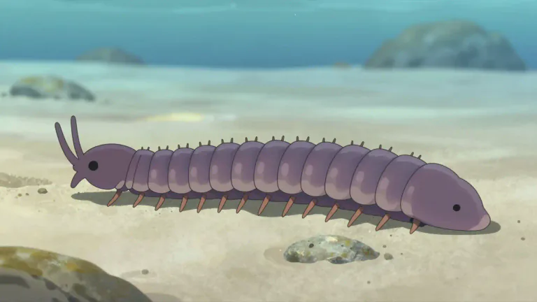 Visual representation of "polychaete" - A marine worm with many bristles on its segments, which belong to the class Polychaeta.