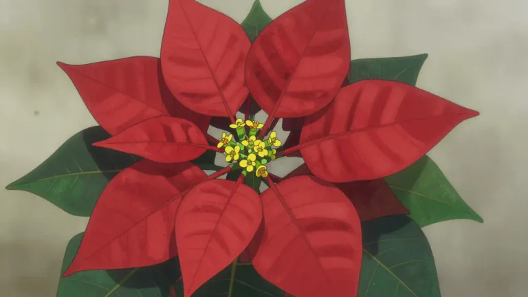 Visual representation of "bract" - A bract is a modified leaf that is often associated with a reproductive structure, such as a flower or inflorescence.