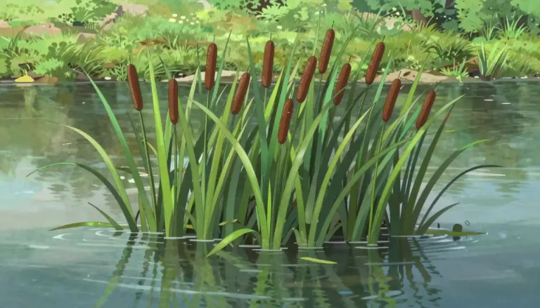 Visual representation of "bulrush" - A tall plant with long, thin leaves found near the water.