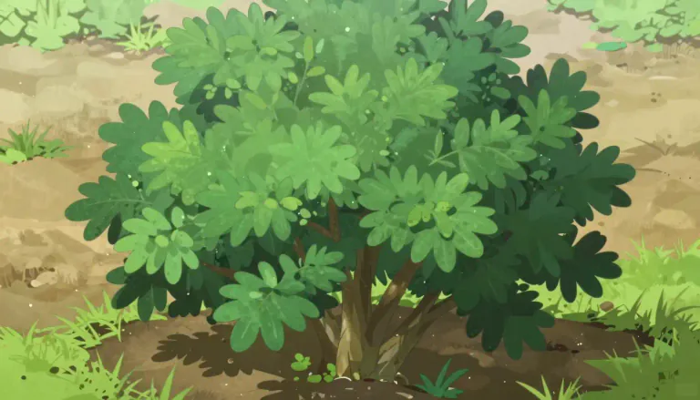 Visual representation of "shrub" - A small plant with several woody stems coming from the ground