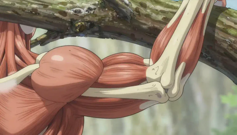 Visual representation of "brachial" - Concerning the development or morphology of the arm in organisms.