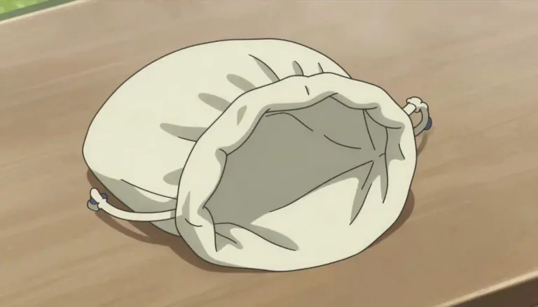Visual representation of "pouch" - A small bag often used to carry things