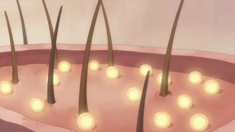 Visual representation of "follicular" - Describing the phase or state that involves or is characterized by follicles.