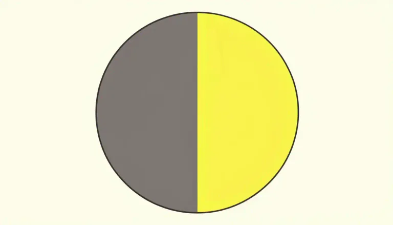 Visual representation of "semicircle" - Half of a circle. Imagine a full circle that is cut exactly in the middle, forming two equal parts. Each part is called a semicircle.