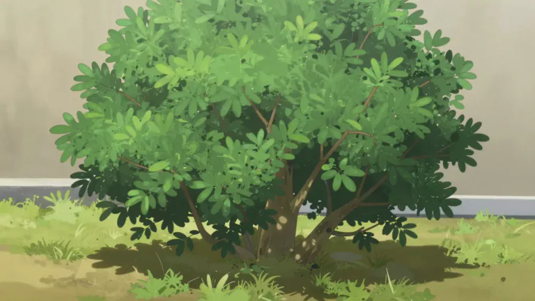 Visual representation of "bush" - A plant that is smaller than a tree and has many small branches growing from its lower part.
