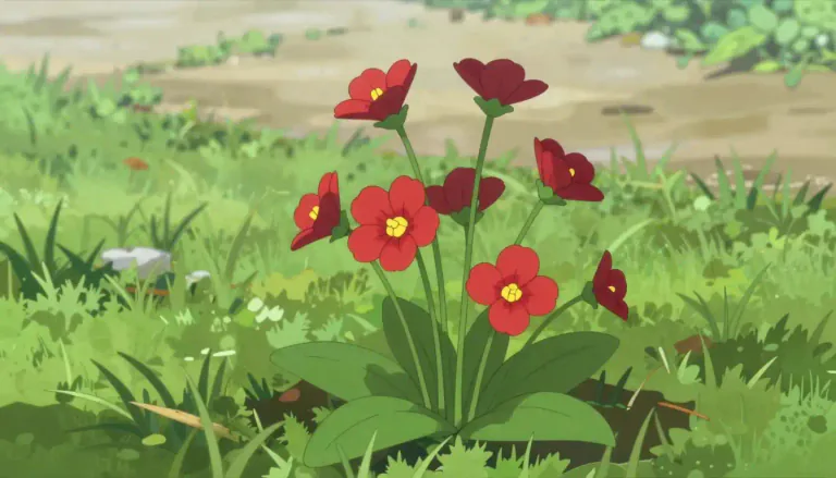 Visual representation of "pimpernel" - A small European plant with bright red flowers.