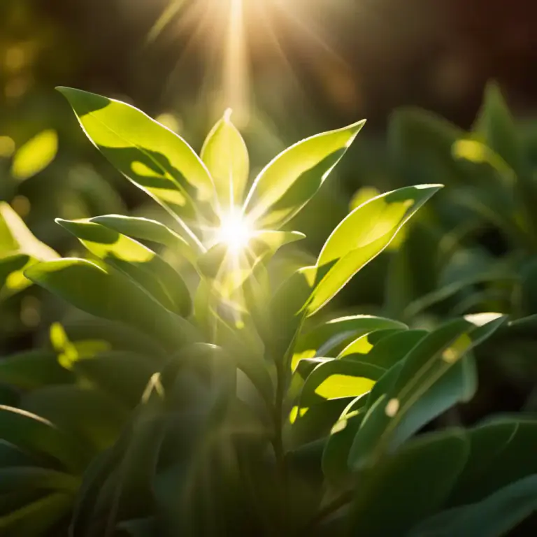 Visual representation of "rely on" - To need or benefit greatly from
