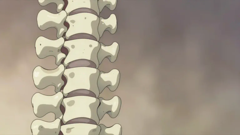 Visual representation of "vertebra" - A bone of the spine or backbone.