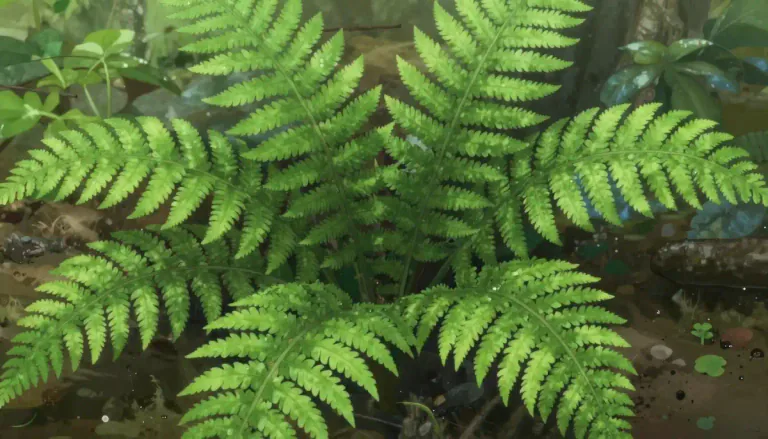 Visual representation of "fern" - A type of green land plant with feather-like leaves that do not produce any flowers.