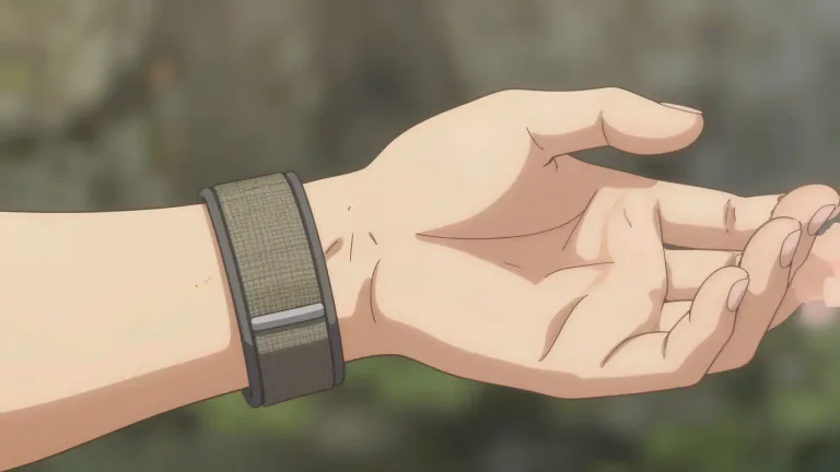 Visual representation of "wristband" - A band or strap that is worn around the wrist