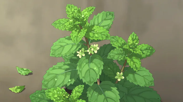 Visual representation of "spearmint" - A type of mint plant that has a sweet smell and tastes a little like peppermint.