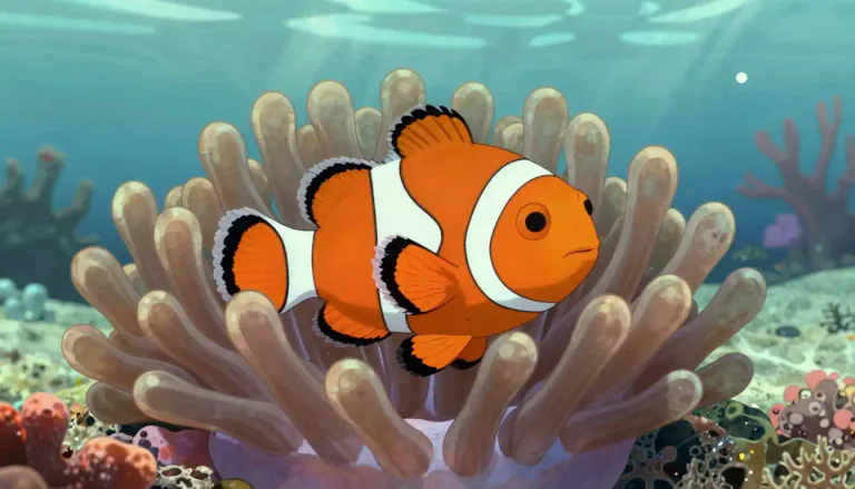 Visual representation of "clownfish" - A small, brightly colored tropical marine fish that lives in warm seas, specifically known for its association with sea anemones.