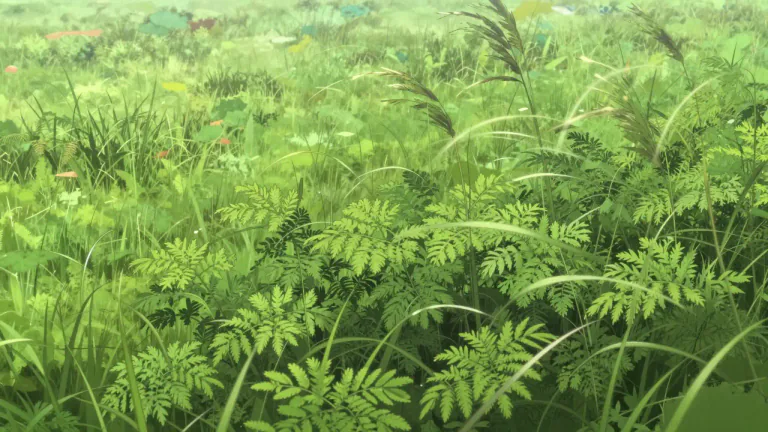 Visual representation of "fescue" - A type of grass that is commonly found in temperate regions and is often used for lawns and pastures.