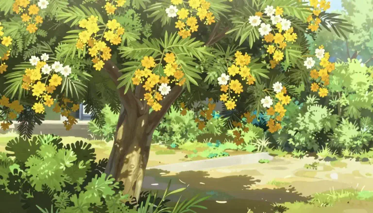 Visual representation of "acacia" - A type of tree or shrub with small yellow or white flowers, often used in garden landscaping.