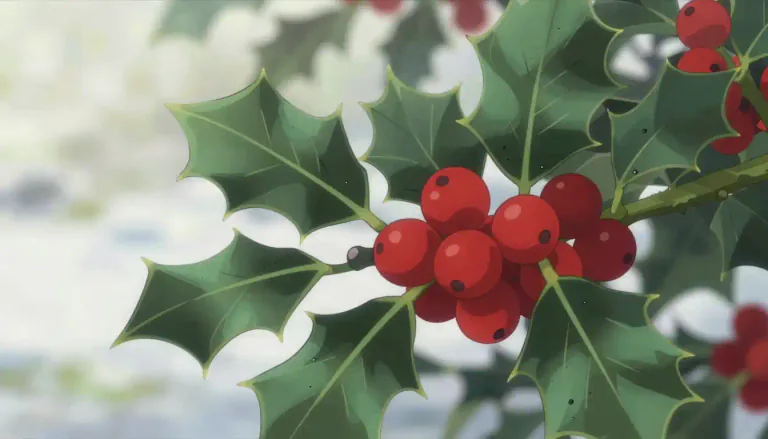 Visual representation of "holly" - A type of evergreen plant with prickly dark green leaves and bright red berries.