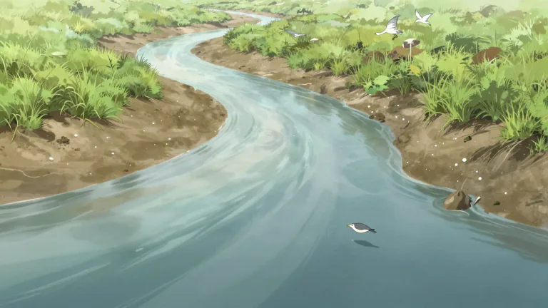 Visual representation of "estuarine" - Relating to or found in an estuary.
