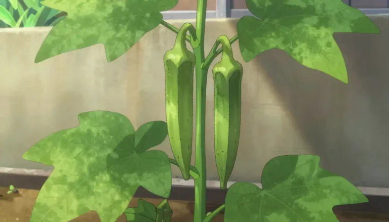 Visual representation of "okra" - A tall plant with green fruit that is often used in cooking, especially in southern U.S. and tropical cuisines.