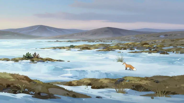 Visual representation of "tundra" - A type of ecosystem found in cold regions with limited trees and vegetation.