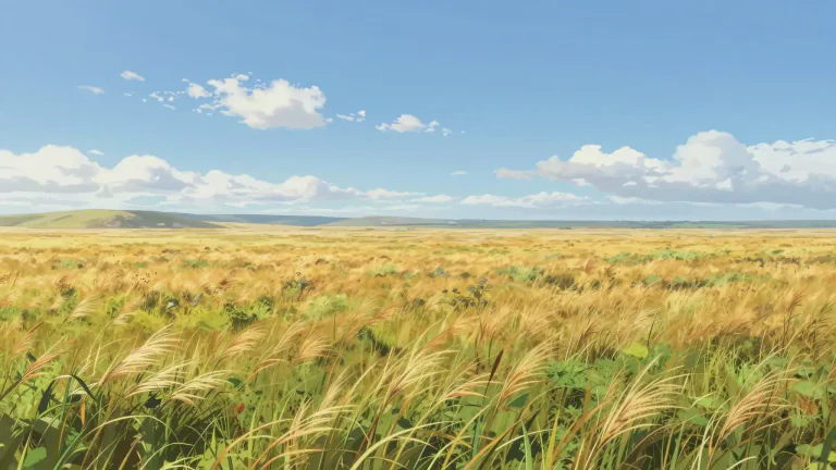 Visual representation of "pampas" - Large plains areas in South America, especially in Argentina.