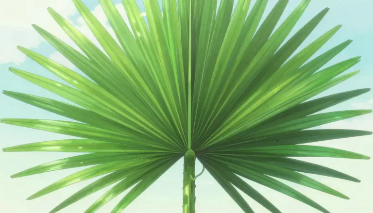 Visual representation of "frond" - A large, divided leaf.