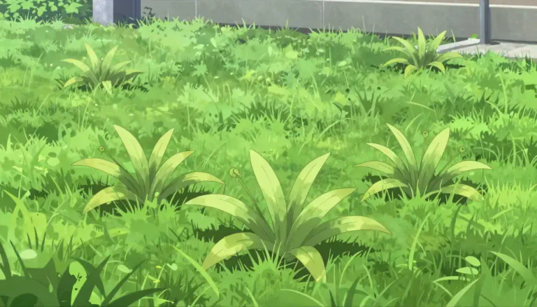 Visual representation of "crabgrass" - A type of grass that is often considered a weed because it grows quickly and invades lawns