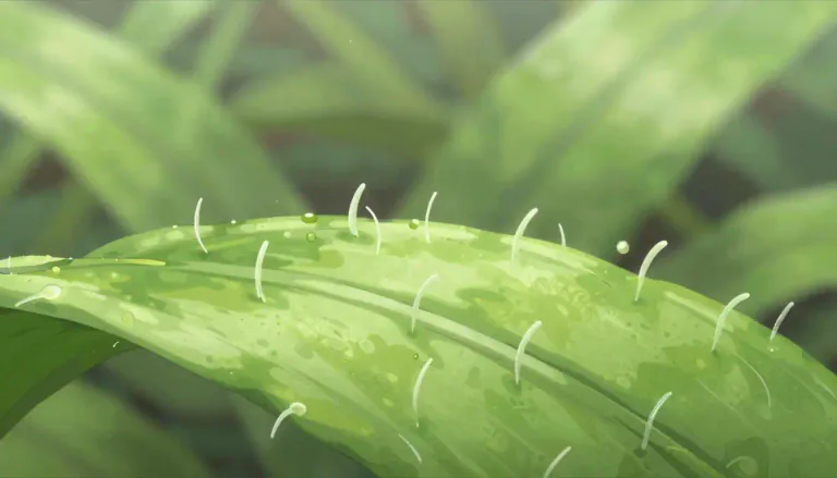 Visual representation of "trichome" - A trichome is a small hair or outgrowth from the epidermis of a plant, often functioning in defense or secretion.