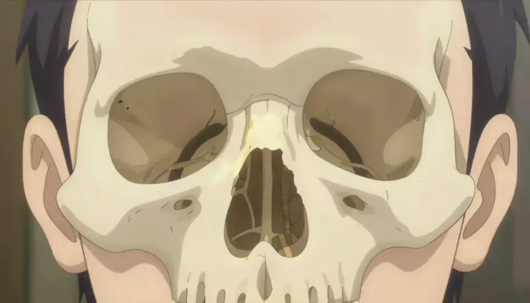 Visual representation of "sinus" - A cavity, channel, or passage within a body or organ, especially in the skull connecting with the nose.