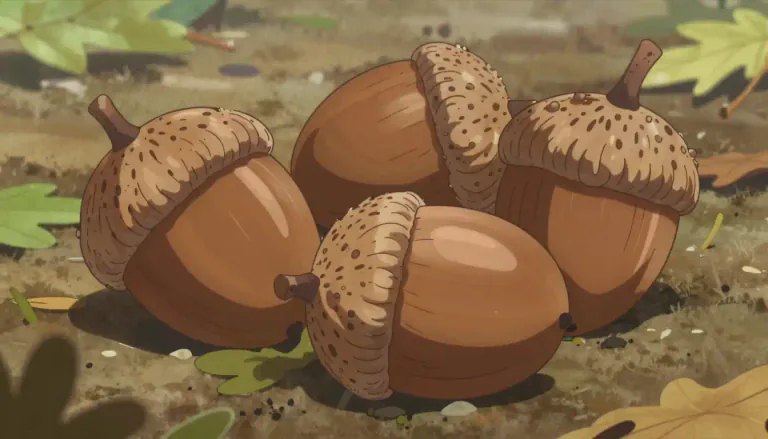 Visual representation of "acorn" - The nut of an oak tree, which has a cap on it.