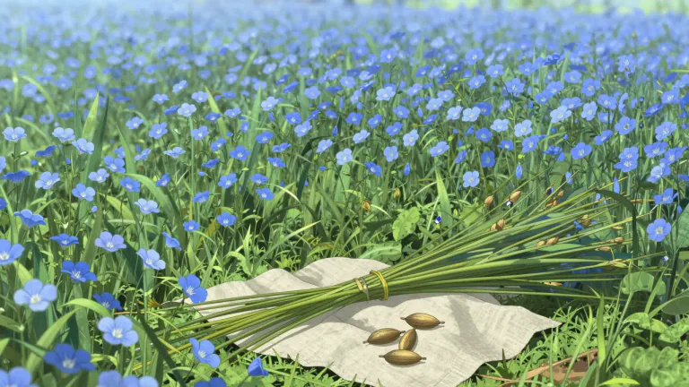 Visual representation of "flax" - A plant with blue flowers. Its thin stem is used to make cloth and its seeds to produce oil.