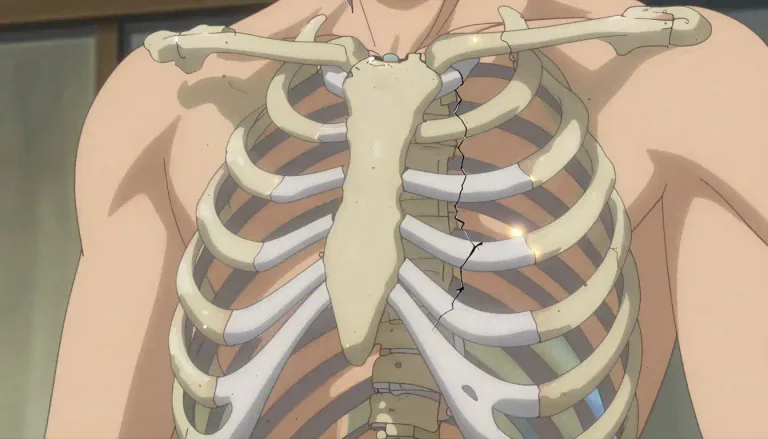 Visual representation of "costal" - Related to the ribs or found near them.