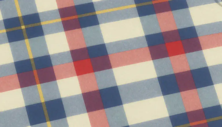 Visual representation of "plaid" - A pattern of different colored lines crossing at 90 degrees usually made on cloth.