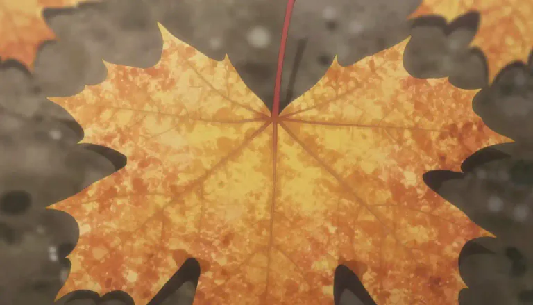 Visual representation of "venation" - The arrangement or pattern of veins in a leaf.