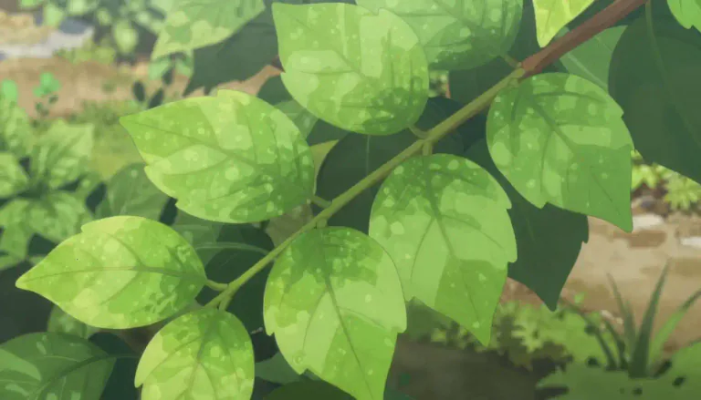 Visual representation of "foliar" - Related to leaves of a plant.